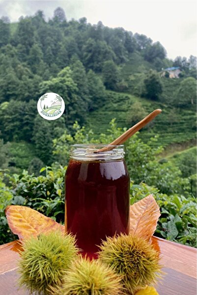doğalından Kestane Balı Artvin 1000 GR (DOĞAL ÜRETİM)