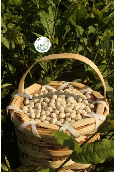 doğalından Yeni Mahsül İspir Fasulyesi 1 KG