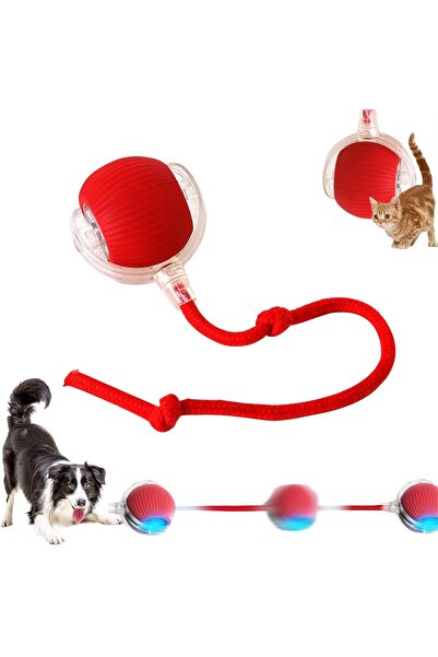 BLUE SİDE 360 Kendinden Hareketli Kedi Topu Şarj Edilebilir Kedi Köpek Oyuncağı Kedi Köpek Topu