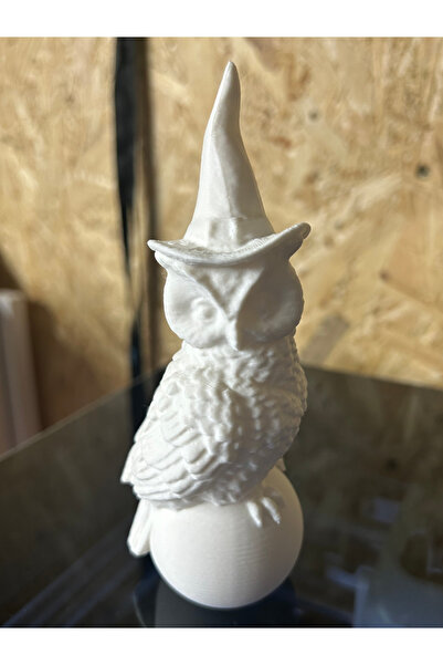 TRENDİN YOLU Top üzerinde baykuş Harry Potter baykuşu
