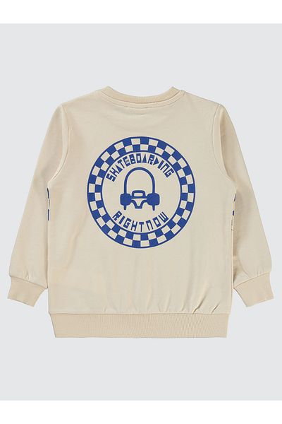 Civil Boys 2-5 Years Old Boy Sweatshirt - Stone Color