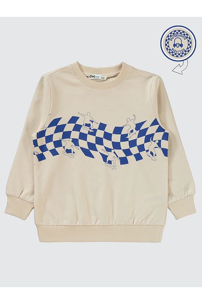 Civil Boys 2-5 Years Old Boy Sweatshirt - Stone Color