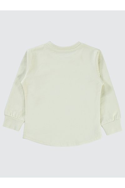 Civil Boys 2-5 Years Old Boy Sweatshirt - Elephant