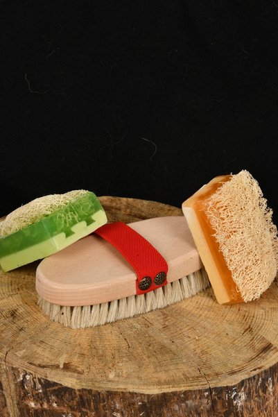 Şık Kalıp 100% Natural Horsehair Cellulite Brush and Pumpkin Fiber Honey Donk...