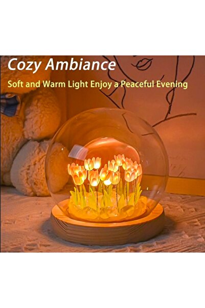 CAVAŞ sun hat Fanus İçinde Lale Bahçesi Tasarımlı Ledli Masa ve Gece Lambası