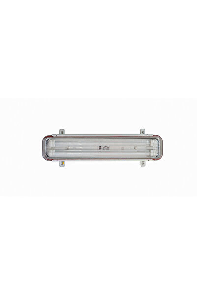 AYDINLATMA ARMATÜRÜ ARYA-ASSHF01 2*20W