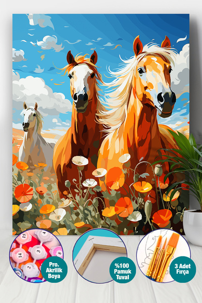 Picasso World Hobby Art Sayılarla Boyama Numaralı Tuval Seti Fırça Boya Dahil...