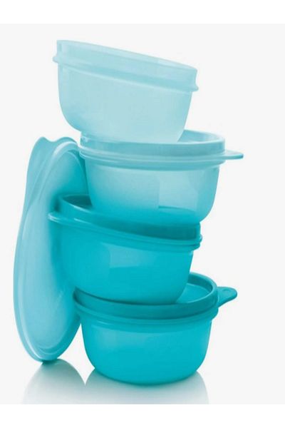 CANDAN TİCARET Tupperware Refrigerator Storage Containers Set of 4 (300 ml)