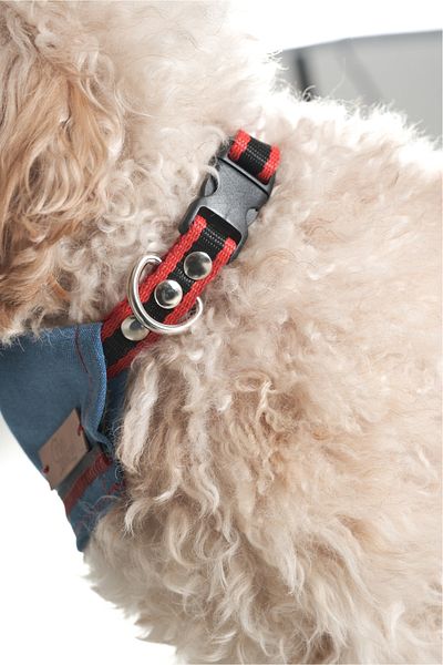 Patipatron Adjustable Design - Medium and Small Breed Dog, Denim Scarf