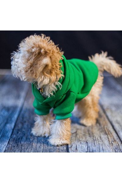 HKEVCİLPET Cat Dog Jacket Coat Windproof