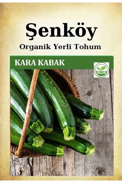 Şenköy Yerli Kara Kabak Tohumu Doğal Kara Kabak Ata Tohumu Pakette 10 gr 60 T...
