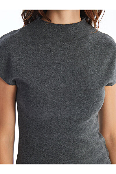 LC Waikiki Stand Collar Women's Dress