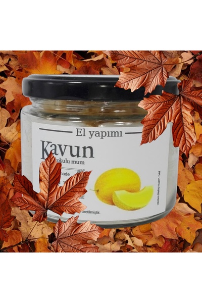 Diyet AVM Mükemmel kokulu taşınabilir ve ergonomik Kavunlu kavanoz mum