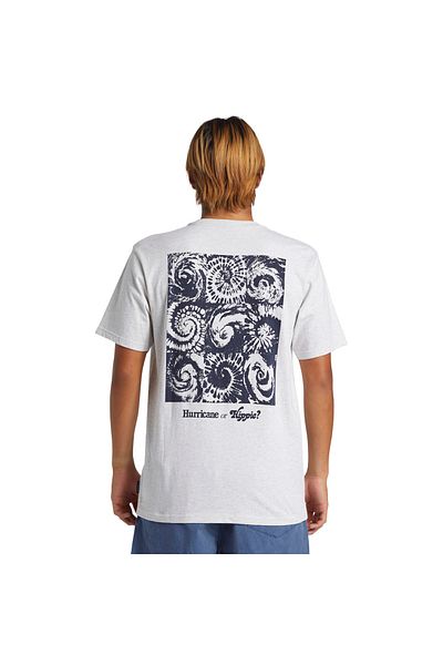 Quiksilver Ανδρικό μπλουζάκι σε γκρι casual στυλ Hurricane Or Hippie Moe AQYZT09540-SCVW