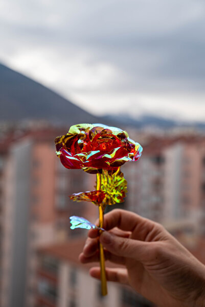 etxShop Anneler Günü Sonsuzluk Gülü Rengarenk Renk Değiştiren Gül Sevgiliye H...