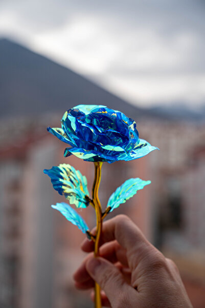 etxShop Sonsuzluk Gülü Rengarenk Renk Değiştiren Gül Sevgiliye Hediye Mavi