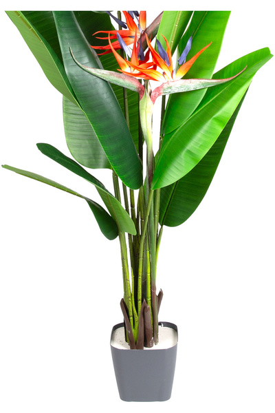 Herdekora Yapay Starliçe Ağacı Gerçek Dokulu 12 Yaprak 3 Çiçekli Yeşil-Turuncu 180 Cm.