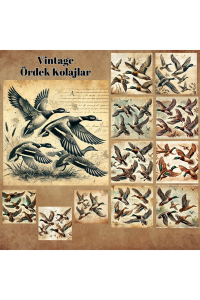 Pink Swan Craft Vintage Ducks kolaž 12 komada, set naljepnica za spomenar, bu...