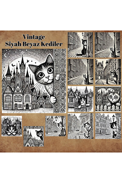 Pink Swan Craft Vintage mačka s Sa deznom - Crno-beli set od 12 komada za scr...