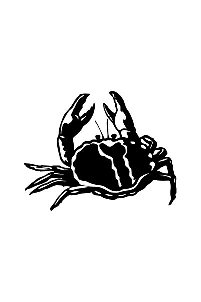 Generic Brand Crab Sticker 20 X 16 cm