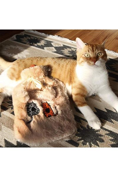 Biggdesign Katzen-Plüsch-Wärmbeutel