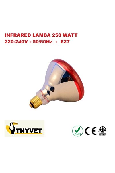 Genel Markalar TANAY INFRARED ISITICI LAMBA - AMPUL / 1 PORSELEN DUY HEDİYE