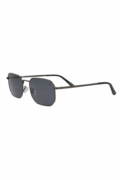 TROY 2314 T C:2 Metallic color sunglasses Unisex