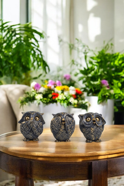 AYDİZAYN Dekoratif Polyester Görmedim Duymadım Bilmiyorum Üçlü Baykuş Biblo