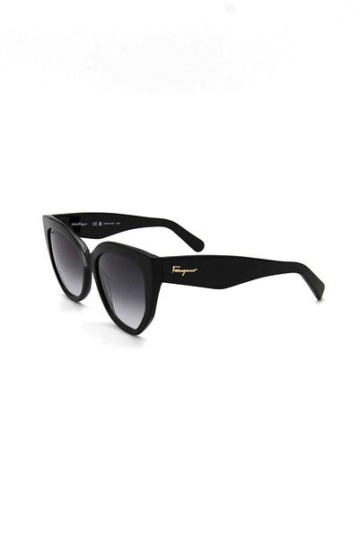 Salvatore Ferragamo Sf 1061S 001 Women's Sunglasses