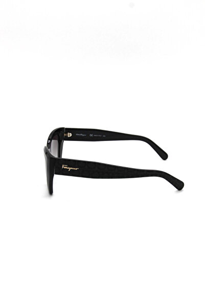 Salvatore Ferragamo Sf 1043S 001 Women's Sunglasses