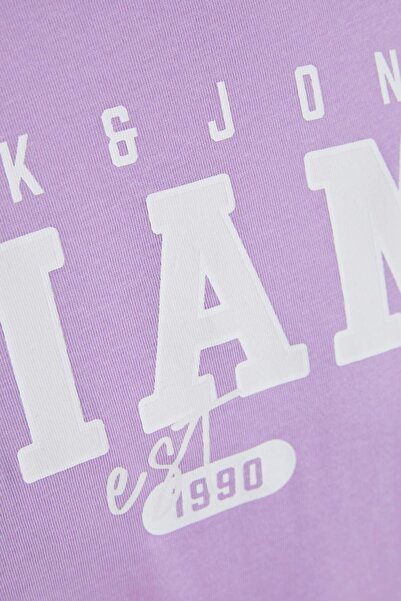 Jack & Jones 12247773 Jjcory Tee Ss Crew Neck Ss Чоловіча футболка