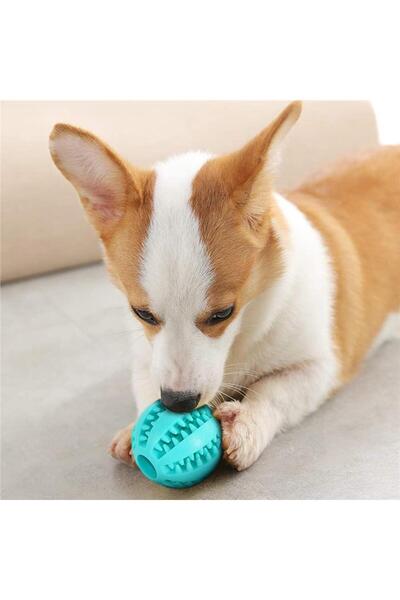 omilife Mama Hazneli Köpek ve Kedi Eğitim Ve Oyun Topu Turuncu