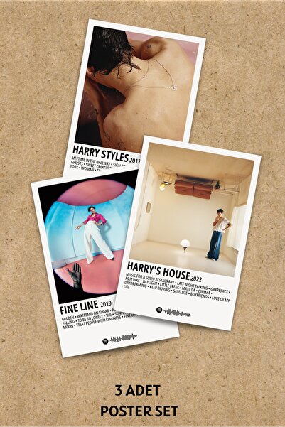Rita Papers Harry Styles Polaroid Stil Albüm Poster Seti 3 Adet