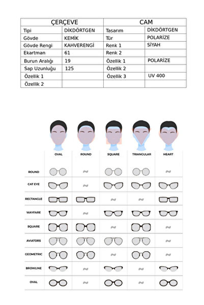 MY CONCEPT Myc 143 C3 Mens Sunglasses
