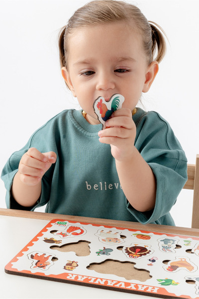 Hopiers Montessori Frame 3 Bultak Ahşap Puzzle Seti / Eğitici ve Zeka Geliştirici Oyuncak