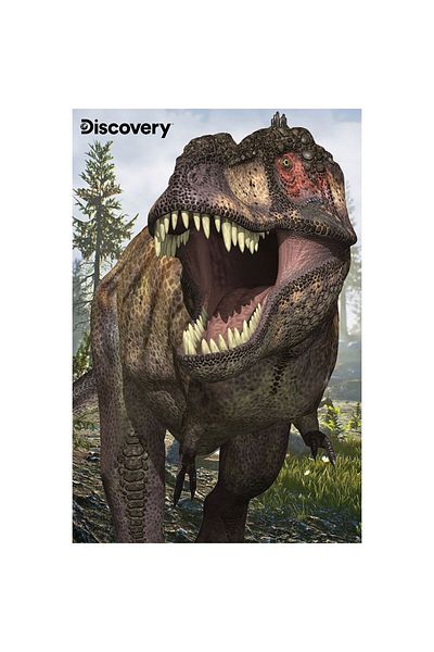 Prime 3D Discovery T-Rex and Allosaurus Double Puzzle 200 Pieces 10248