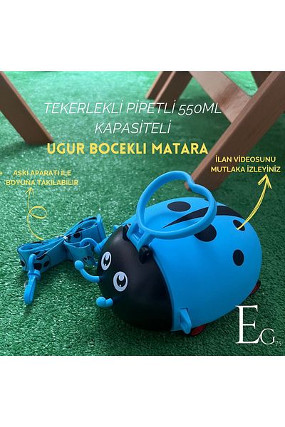 EG75 Ladybug Pattern Wheeled 550ml. Capacity Motivational Water Bottle School Water Bottle