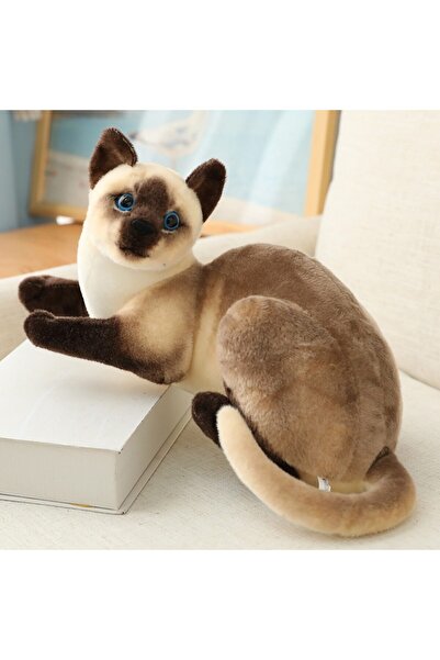 Choice لعبة قطط سيامي محشوة 25 سم، محاكاة قطط أمريكية قصيرة الشعر، ألعاب حيوا...