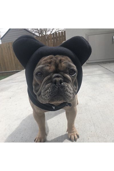 Choice S black Cute Dog's Fleece Bat Hat Soft Warm Adjustable French Bulldogs Winter Hats Pet Supplies