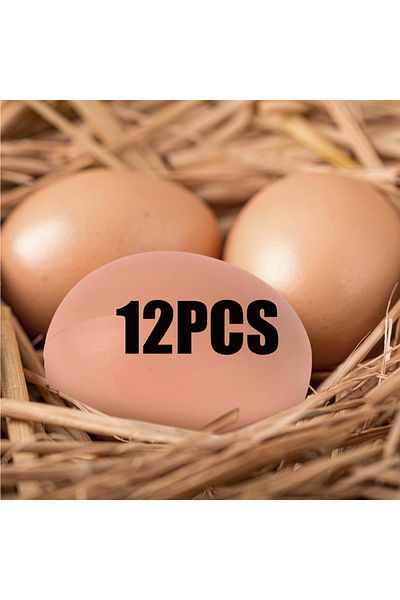 Choice 12 قطعة 6/12 قطعة من البيض البلاستيكي لبيت الدجاج بيض مزيف صغير لوازم الحيوانات في المزرعة أقفاص إكسسوارات دليل