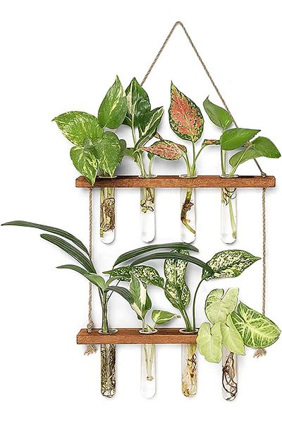 Choice Wall Hanging Test Tube, Glass Planter Plant Vase With Wooden Stand & Strings Rope, Glass Planter ...