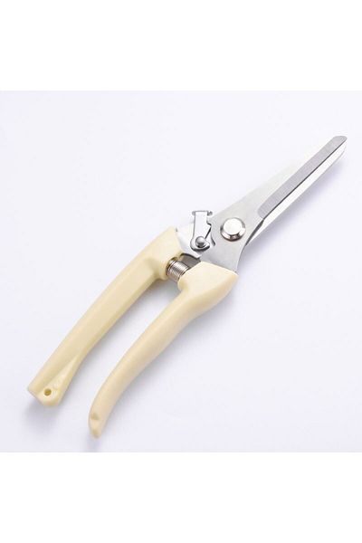 Choice Straight Scissors Stainless Steel Scissors For Flower Cutting Arrangement Pruning Fruit Tree Garden