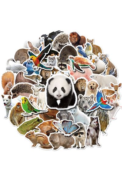 Choice Animals 50pcs 10/30/50pcs Realistic Animal Stickers Anime Graffiti Decals Laptop Phone Guitar Skateb