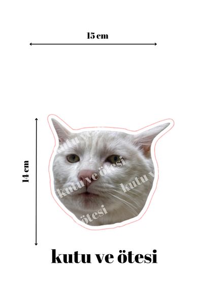 Quun Autocolant adeziv Crazy Cats 10 - Mașină, laptop, Macbook, iPad, tabletă