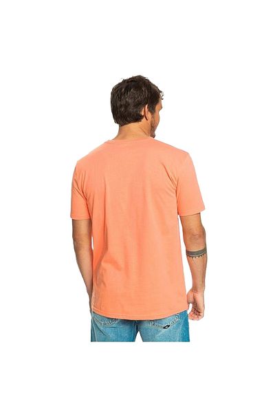 Quiksilver Passthepride Men's Orange T-Shirt Men's T-Shirt Eqyzt07275