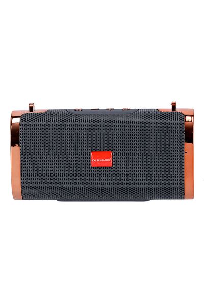 Olsenmark Portable Wireless Speaker with USB, TF, AUX, Bluetooth & MP3