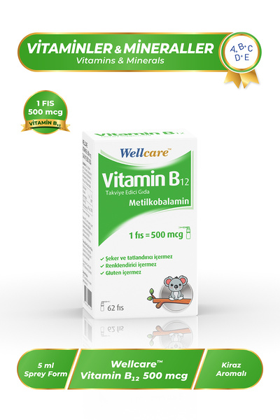 Wellcare Vitamin B12 Metilkobalamin 500 Mcg Dil Altı Sprey 5 Ml