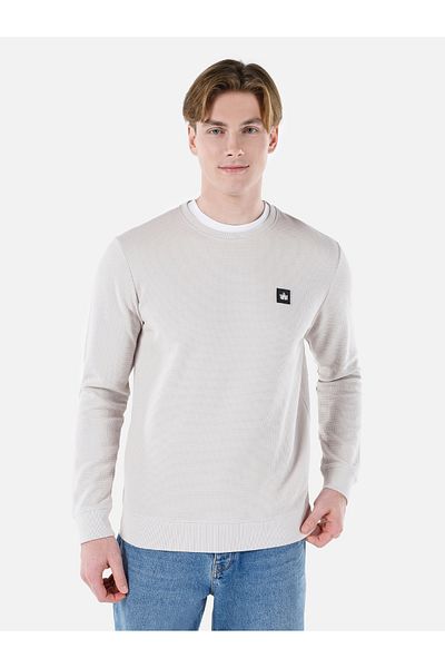 Colin's Regular Fit Crew Neck Printed Stone Men's Long Sleeve T-Shirt Cl 1066756