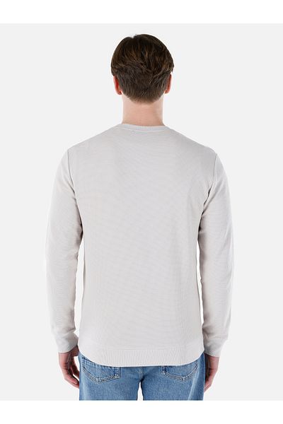 Colin's Regular Fit Crew Neck Printed Stone Men's Long Sleeve T-Shirt Cl 1066756