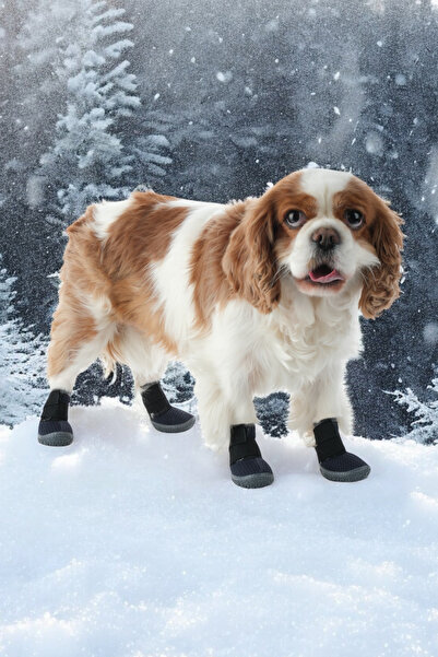 PawPrints Köpek Ayakkabısı - Lastikli Köpek Ayakkabısı - Kaydırmaz Kauçuk Taban Köpek Ayakkabısı